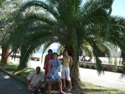Под пальмой